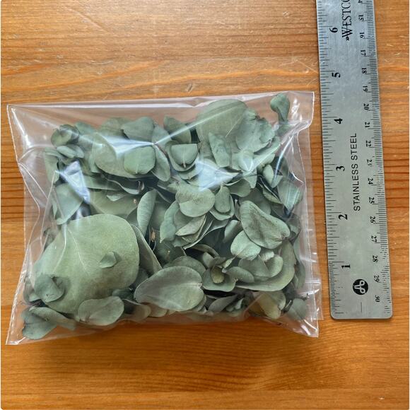 Dry Eucalyptus Leaves - Picture 7 of 8